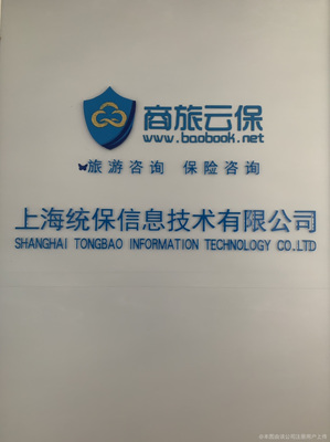 統保信息技術專業咨詢指南